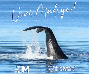 Municipalidad de Puerto Madryn - Viví Madryn