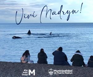 Municipalidad de Puerto Madryn - Viví Madryn